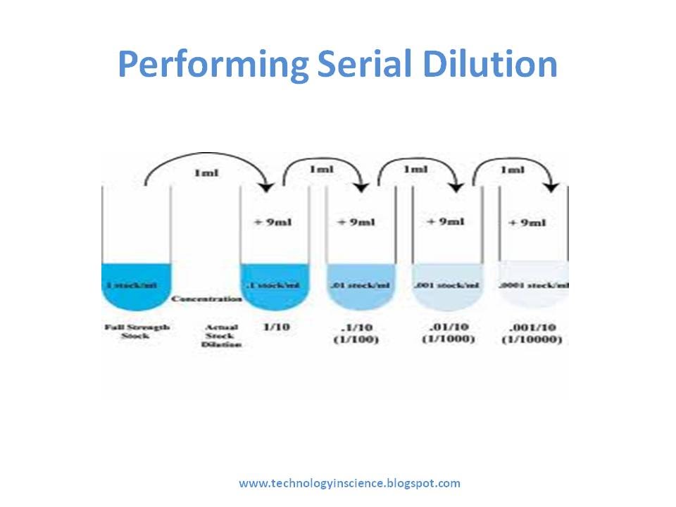 Simple Serial Dilution Calculation